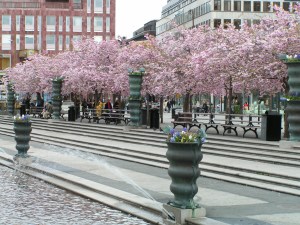 KONICA MINOLTA DIGITAL CAMERA