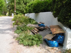 KONICA MINOLTA DIGITAL CAMERA