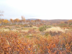 KONICA MINOLTA DIGITAL CAMERA