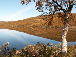 KONICA MINOLTA DIGITAL CAMERA