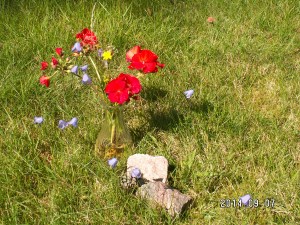 KONICA MINOLTA DIGITAL CAMERA