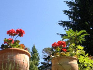 76D2DDCC-39BC-4F4C-A4EB-451FC4F12E91