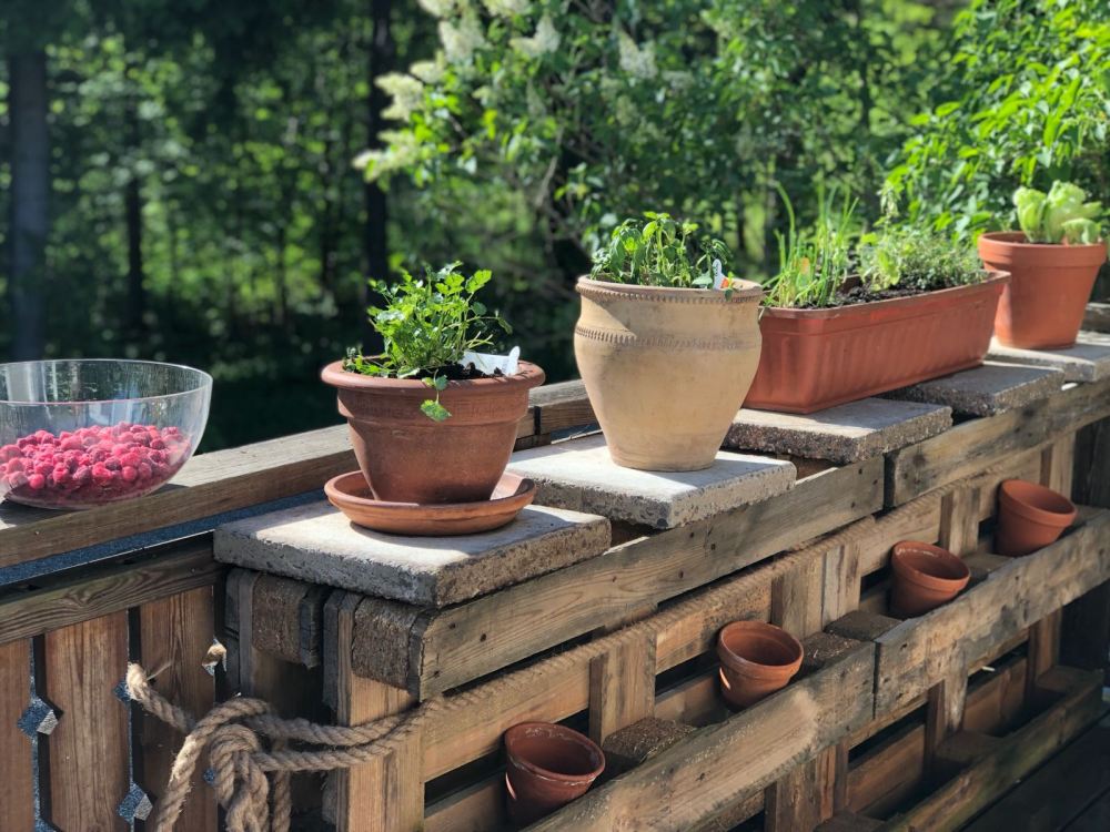 PHOTO-2018-05-20-12-58-25