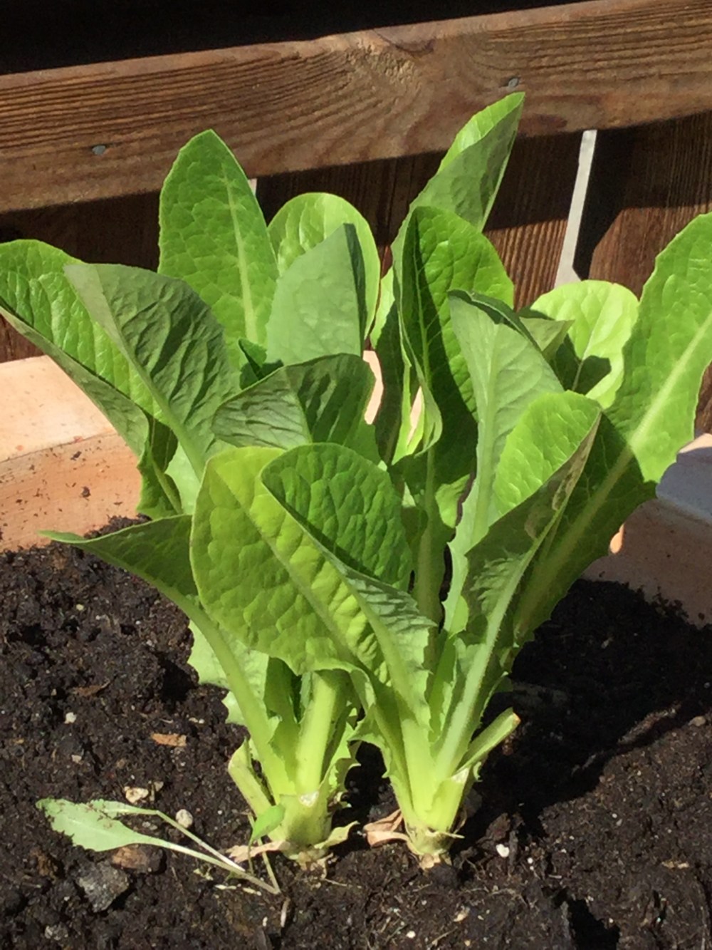 2C567583-6B14-44C7-B17B-E9B989741366